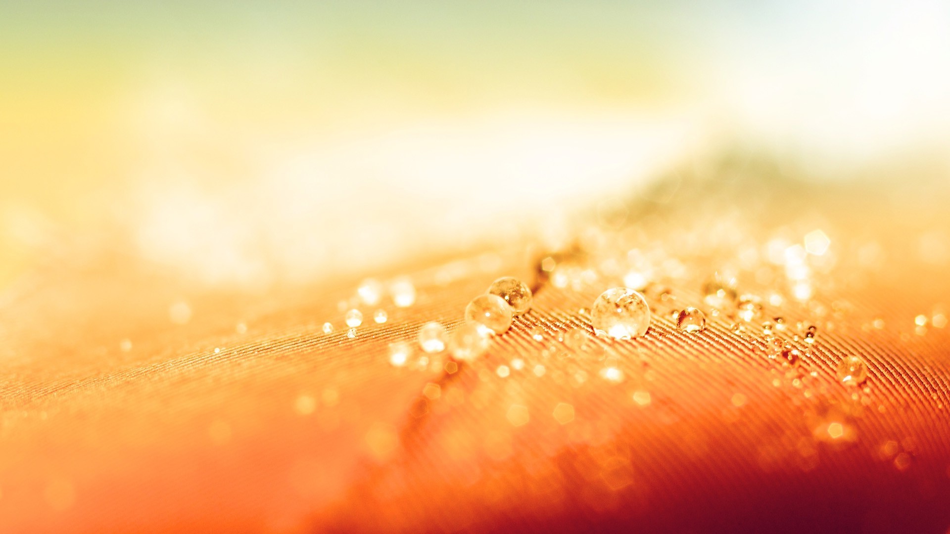 tröpfchen und wasser unschärfe abstrakt leuchten licht weihnachten gold tropfen regen farbe natur fokus dof glitzern wasser tau desktop hell winter nass textur