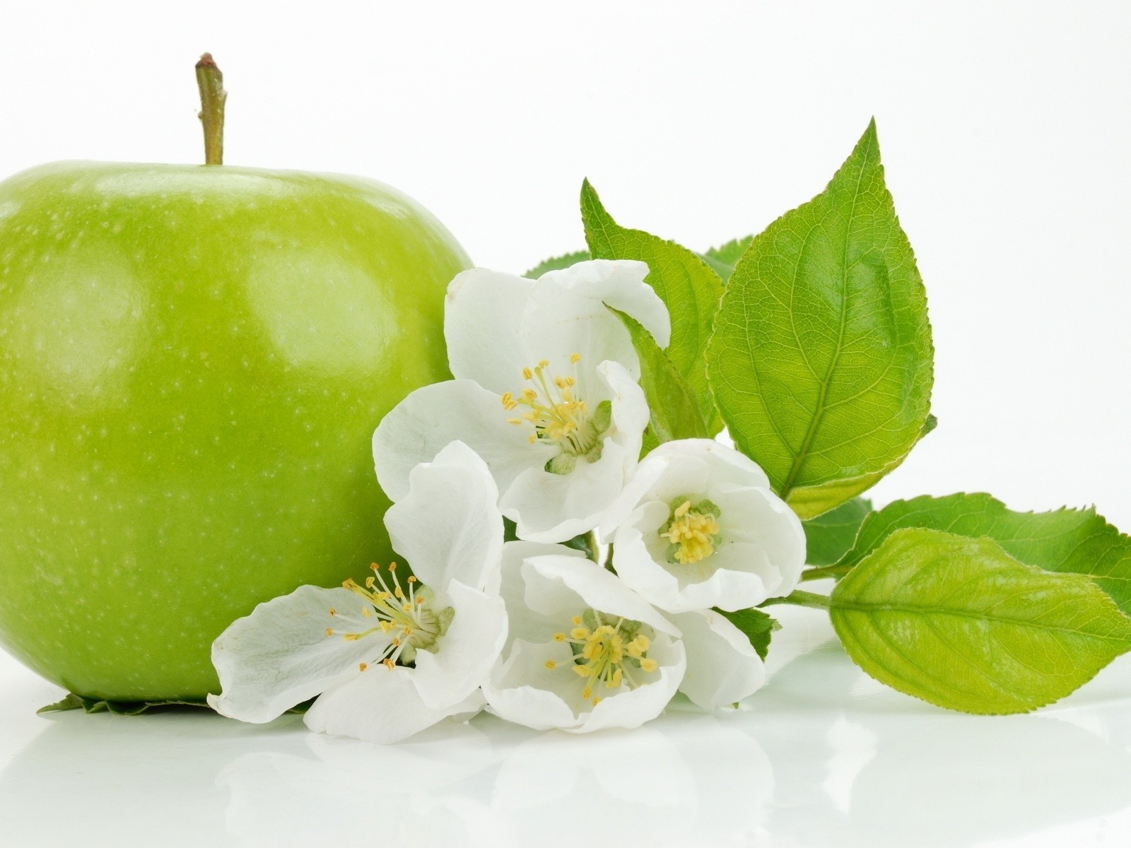 obst blatt natur apfel essen gesundheit hell flora frische garten schale isoliert sommer gesund