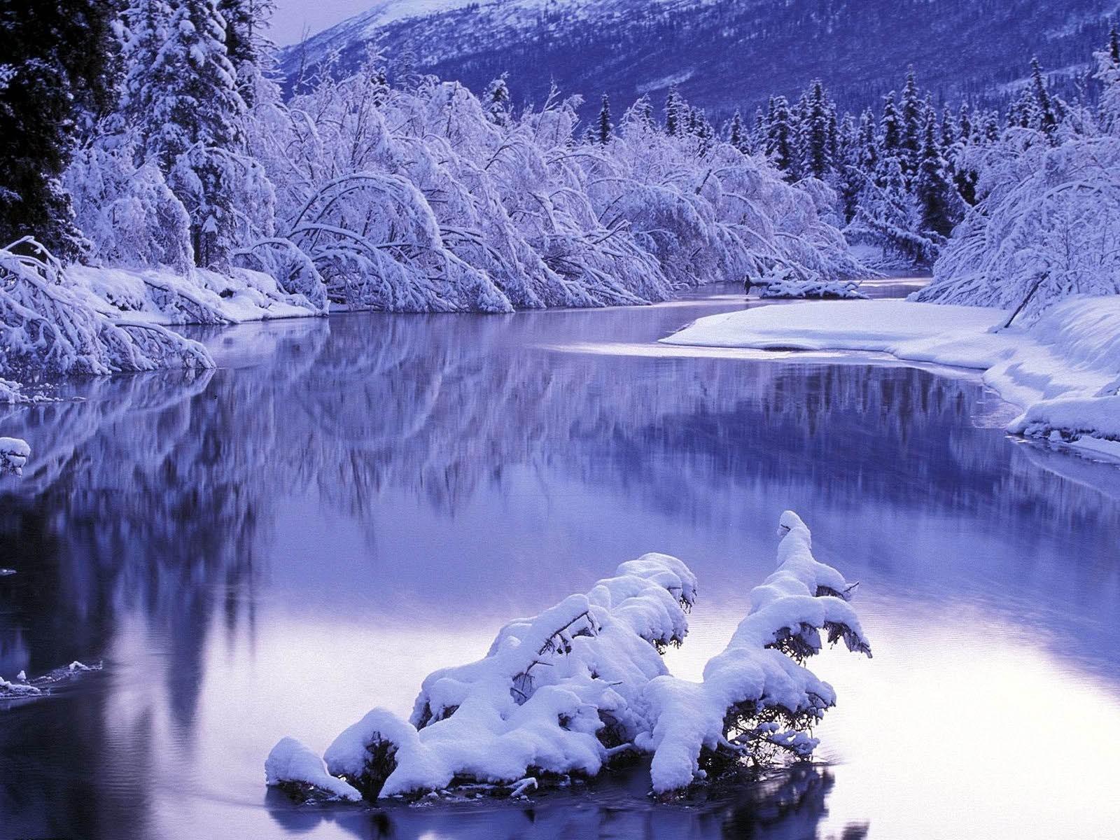 hiver neige froid bois glace gel eau paysage scénique à l extérieur nature congelé montagnes bois voyage beau temps