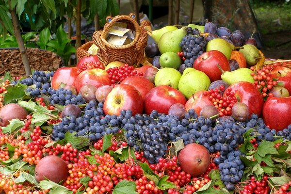 Reiche Herbsternte mit Beeren und Früchten