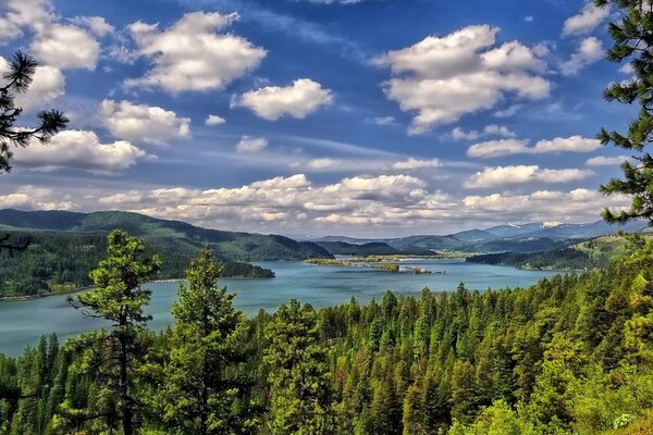 Schöne Landschaft mit Wald und See