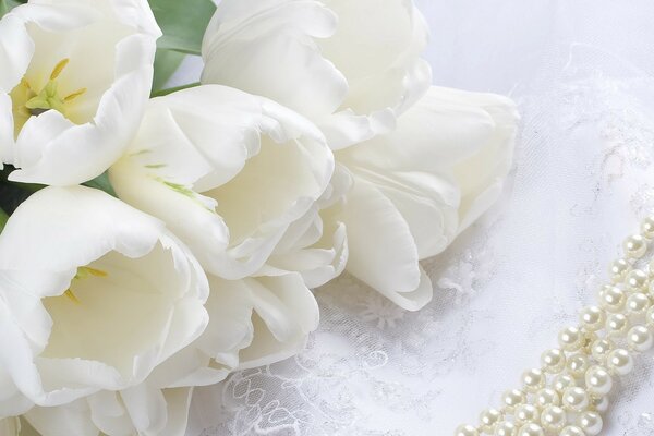 Beau bouquet de tulipes blanches