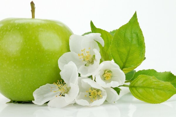 La pomme se trouve avec des fleurs blanches