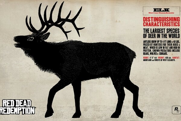 Cerf noir sur l affiche