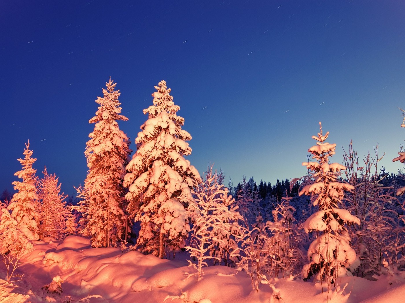 the sunset and sunrise snow winter tree wood frost cold nature outdoors conifer christmas evergreen pine landscape season ice