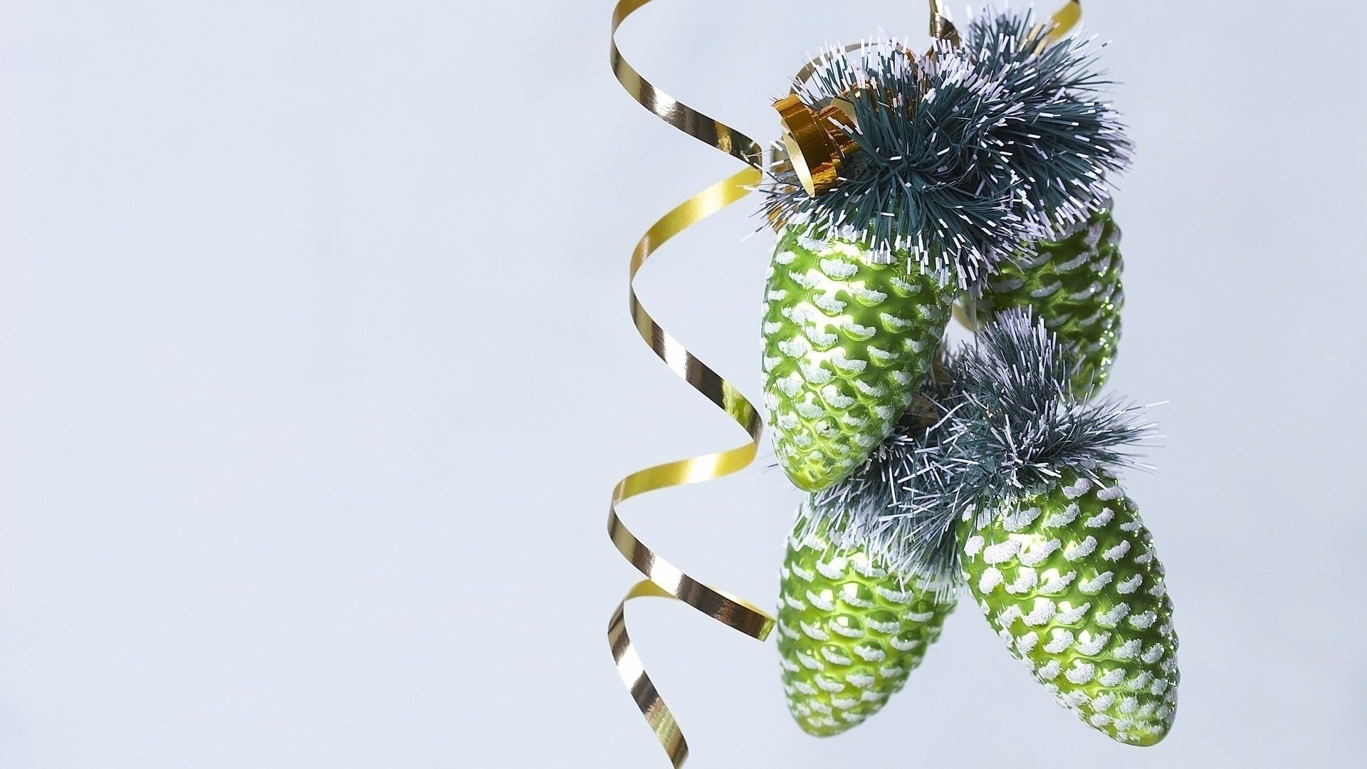 año nuevo naturaleza insecto invertebrados