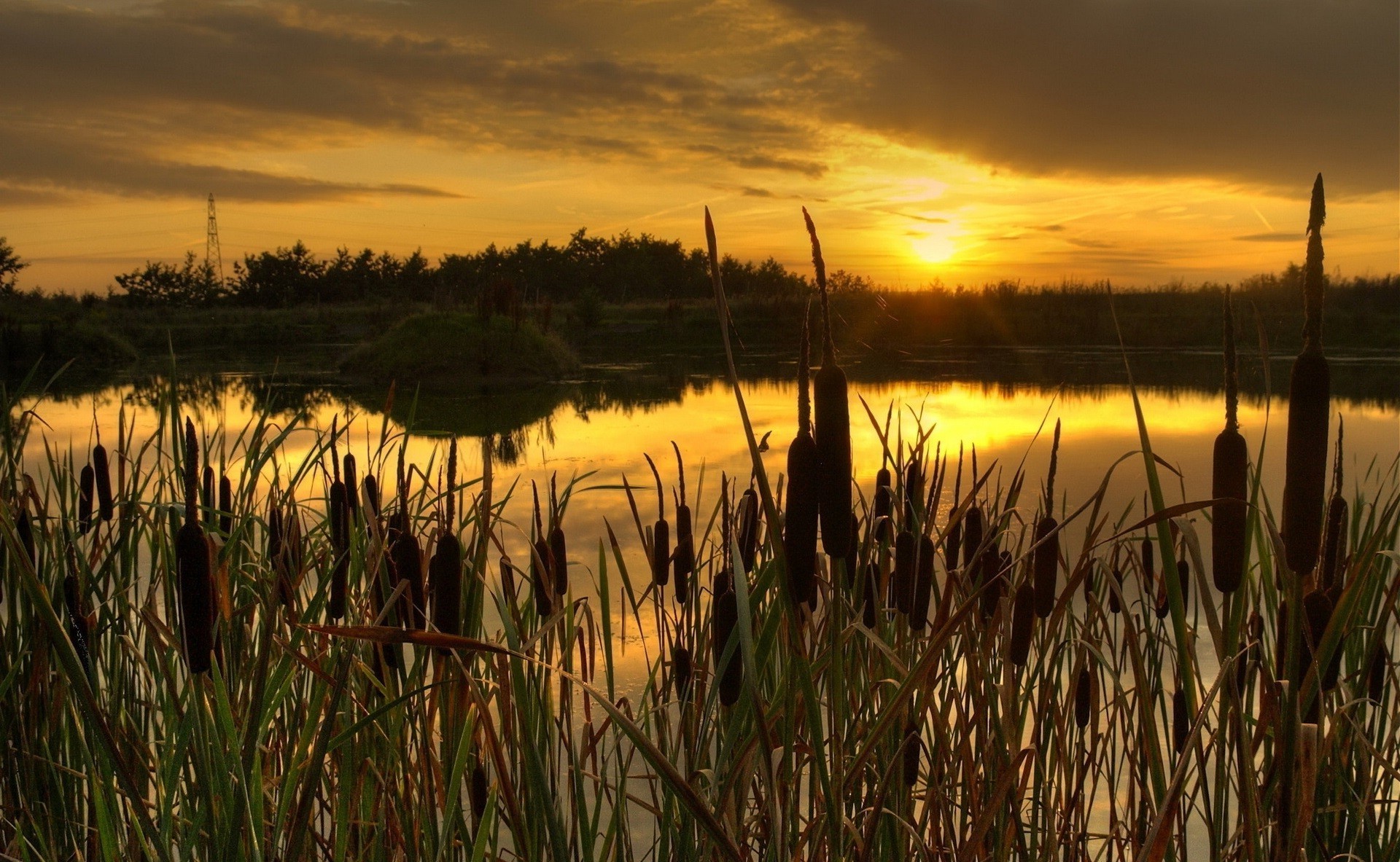 zachód słońca i świt zachód słońca świt woda reed odbicie jezioro marsz słońce krajobraz natura wieczorem na zewnątrz niebo trawa zmierzch ożypałka dobra pogoda mokradła bagno