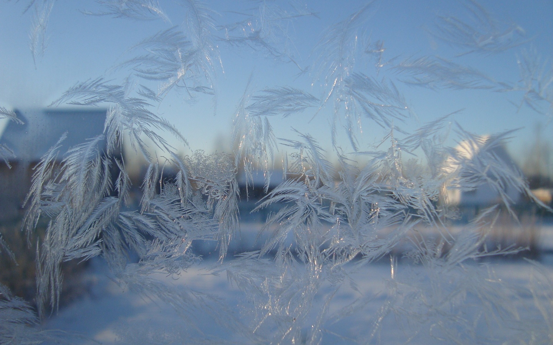 padrões inverno neve frio geada congelado gelo temporada natureza tempo desktop paisagem geada luz gelo cor bom tempo ambiente reflexão