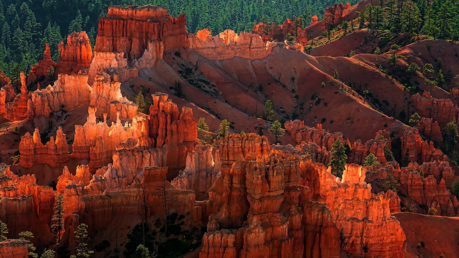 canyons à l extérieur canyon grès voyage géologie érosion nature paysage coucher de soleil scénique rock