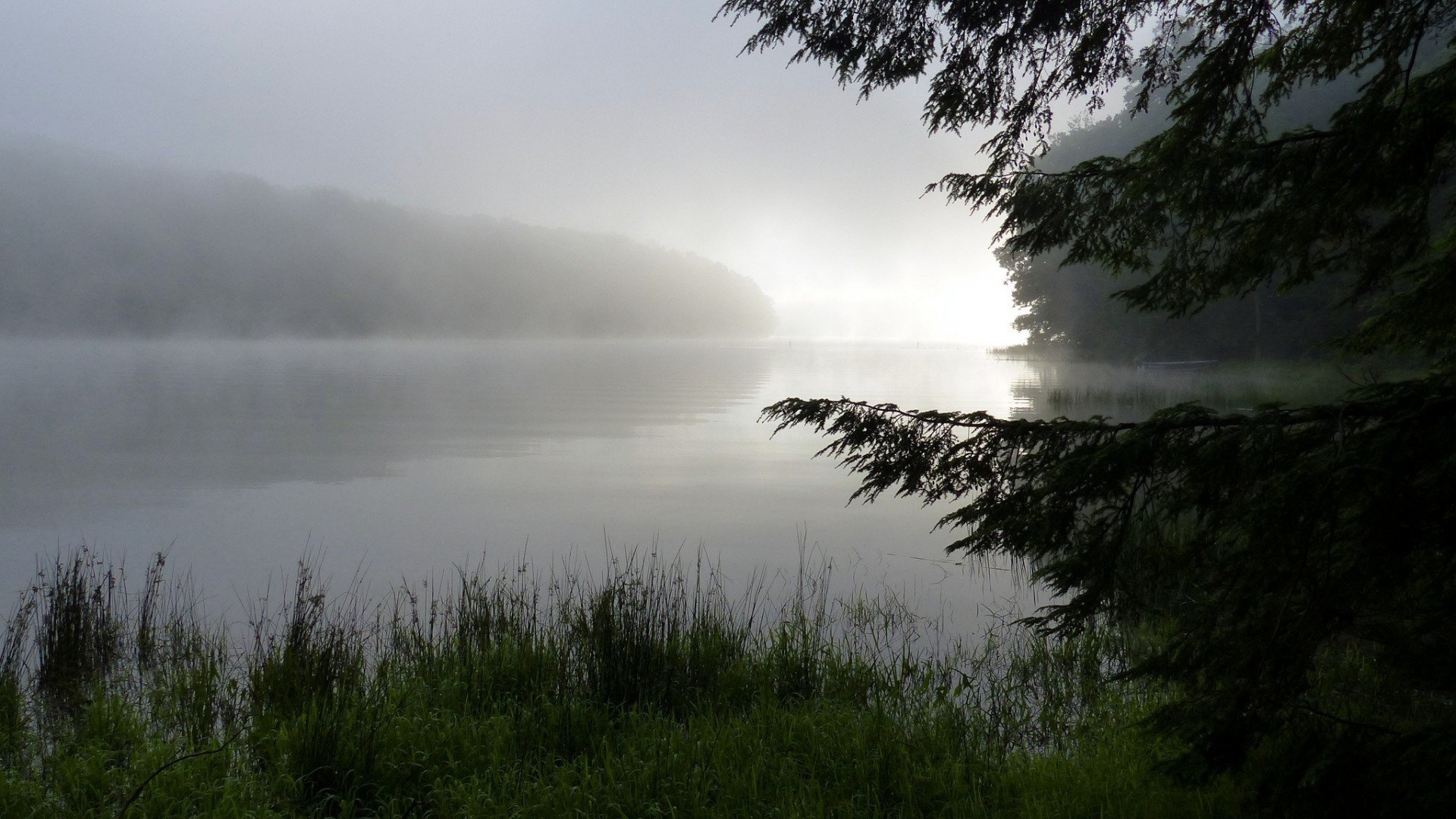 lac brouillard brouillard paysage eau aube nature réflexion arbre rivière coucher de soleil ciel