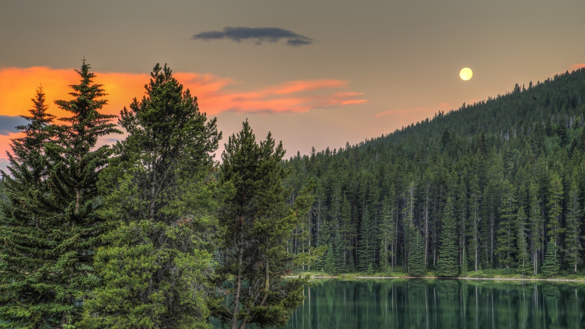 tramonto e alba natura legno all aperto albero autunno conifere acqua alba paesaggio lago evergreen selvaggio freddo cielo viaggi foglia