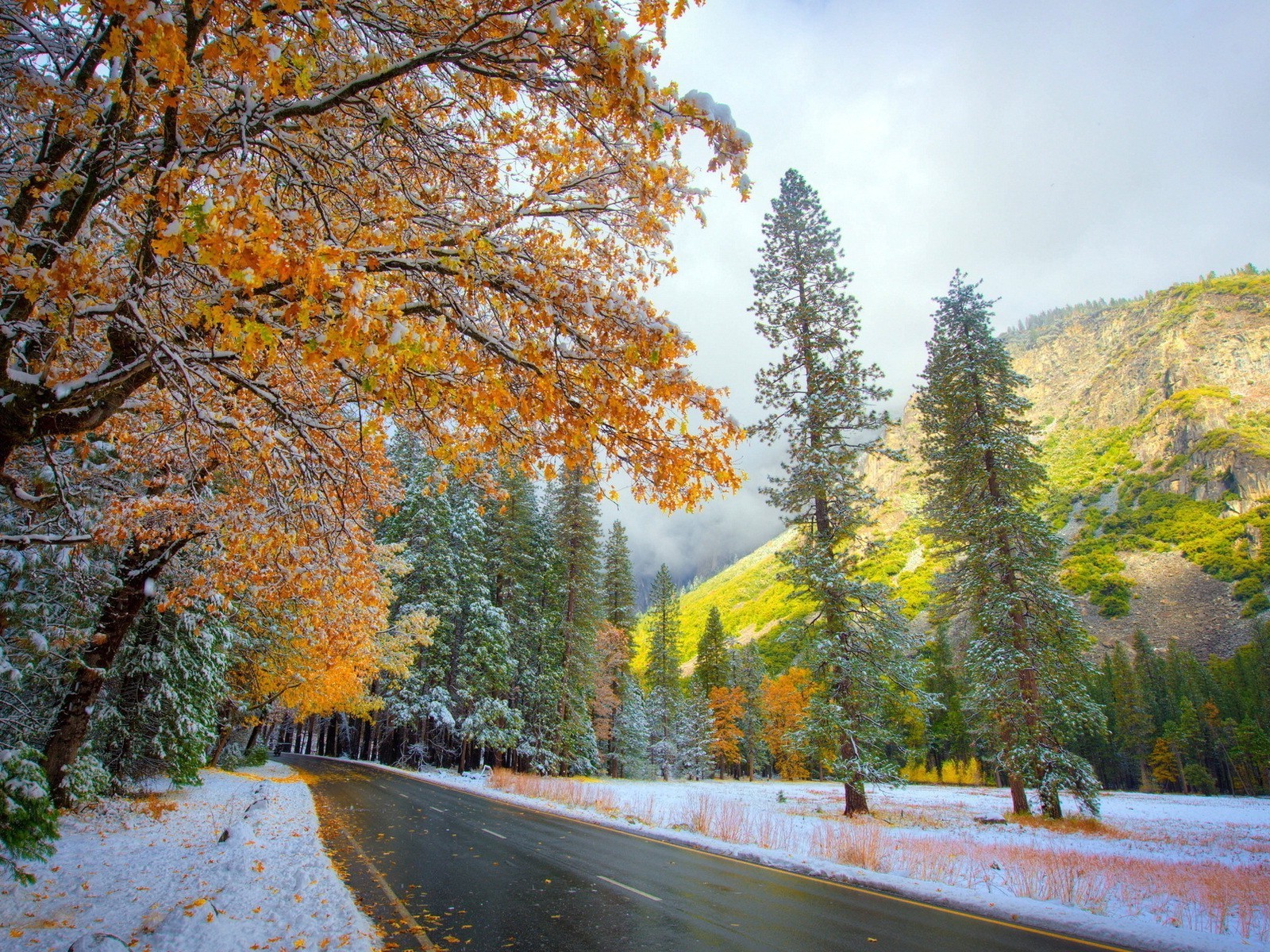 wald herbst baum blatt holz landschaft natur saison straße landschaftlich park landschaft guide im freien szene auf dem land gutes wetter umwelt schnee landschaft