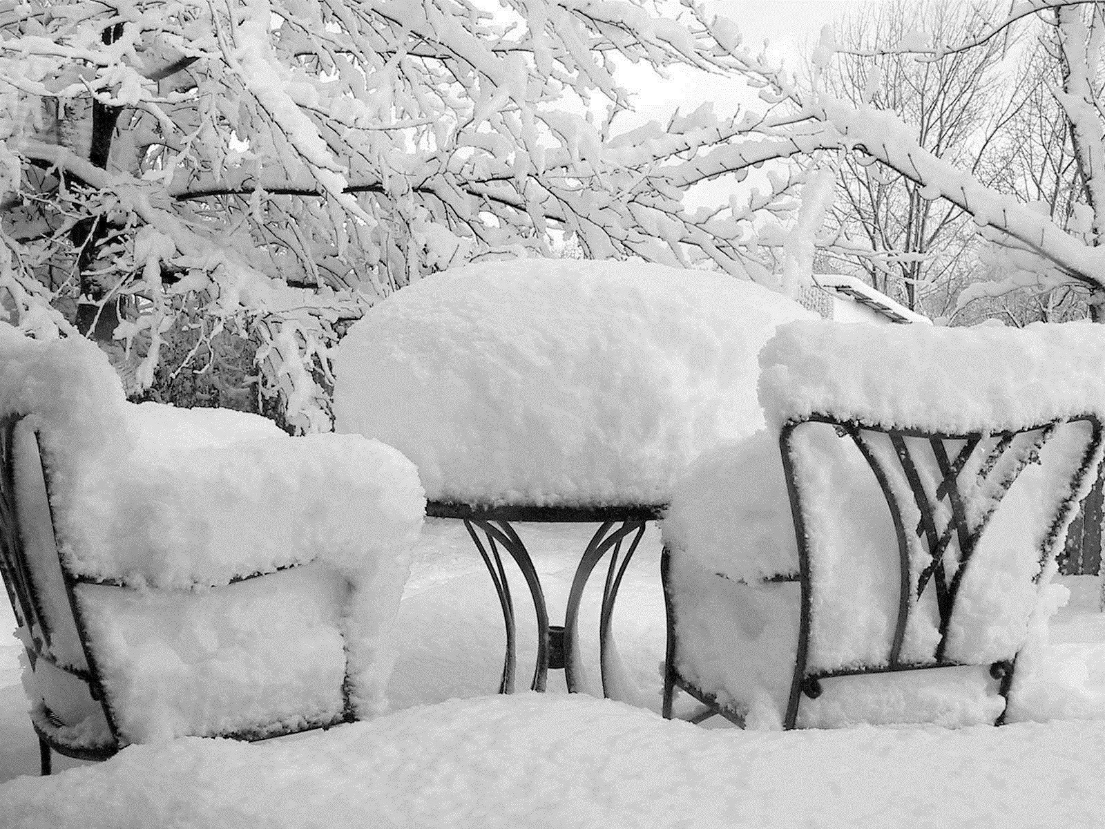 winter snow frost cold frozen ice snowstorm weather tree wood snow-white outdoors season furniture nature