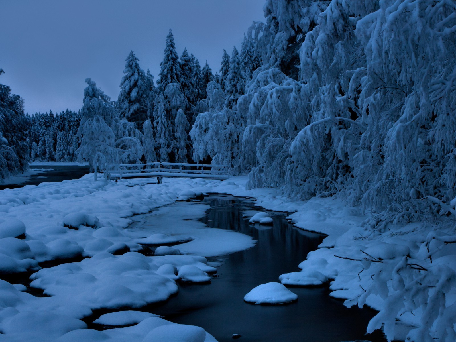 ríos estanques y arroyos estanques y arroyos nieve invierno hielo frío escarcha madera congelado naturaleza agua paisaje al aire libre helada árbol río