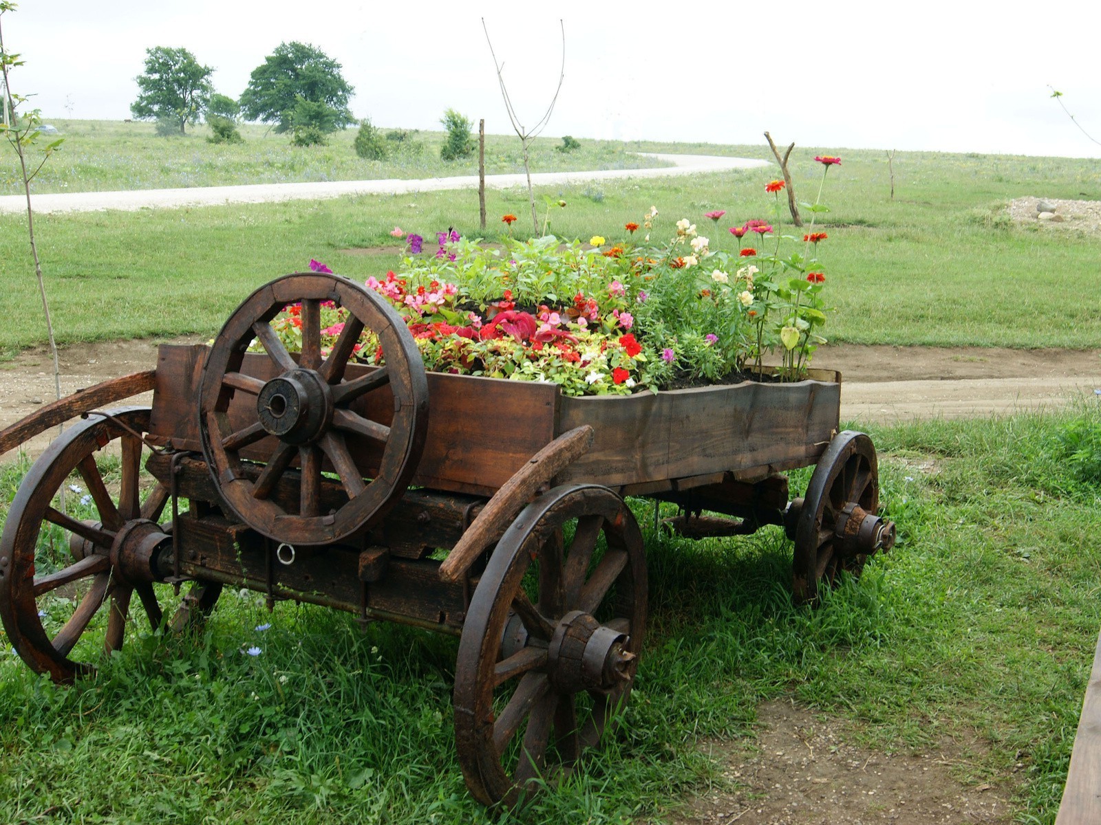 champs prairies et vallées ferme agriculture herbe panier rural en bois été bois wagon transport campagne jardin