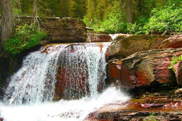 Bergfluss tief im Wald