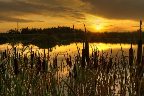 Schöner und saftiger Sonnenuntergang auf dem Wasser