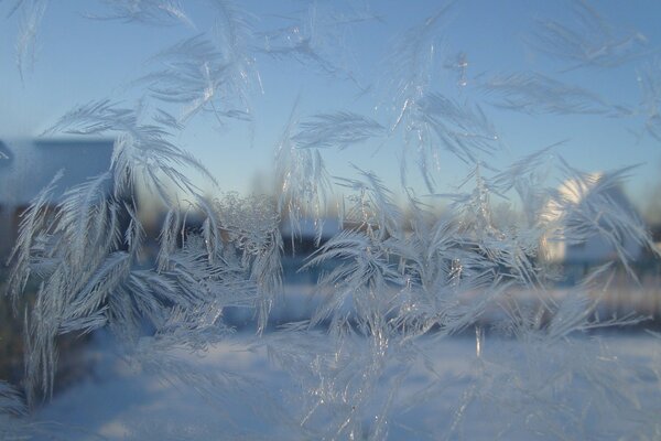 Motifs givrés sur le verre en hiver