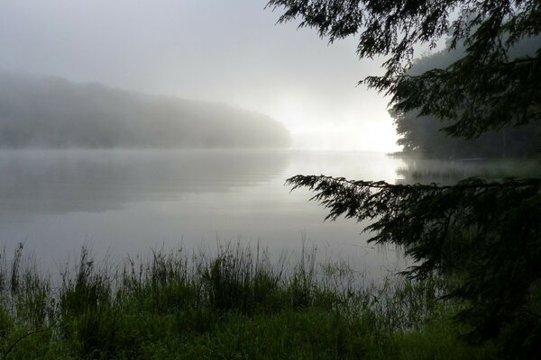 Brouillard sur le lac le matin de l été