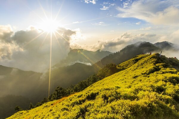 Lumière du soleil sur les collines vertes