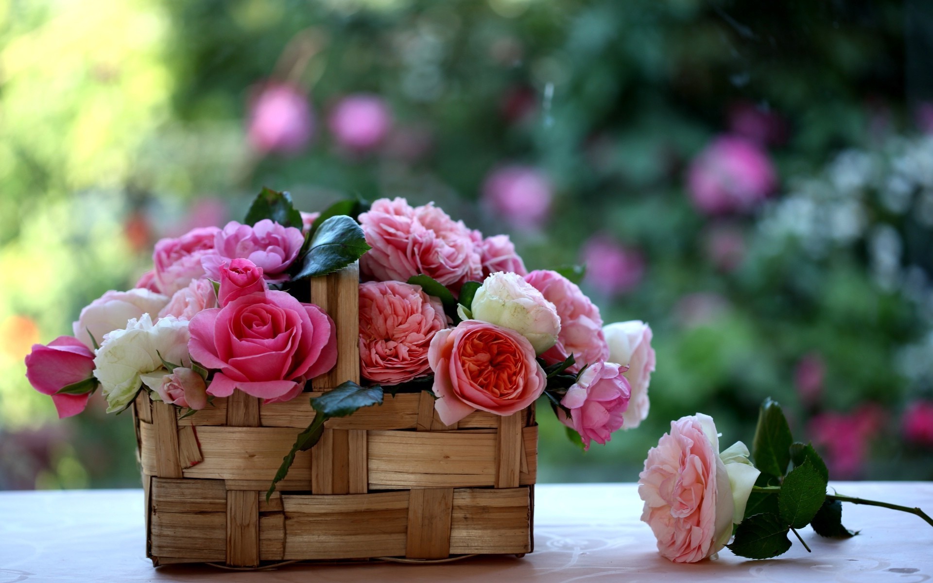 güller çiçek buket düğün bahçe aşk taçyaprağı doğa dekorasyon çiçek açan çiçek romantizm romantik yaprak hediye vazo renk flora tatil