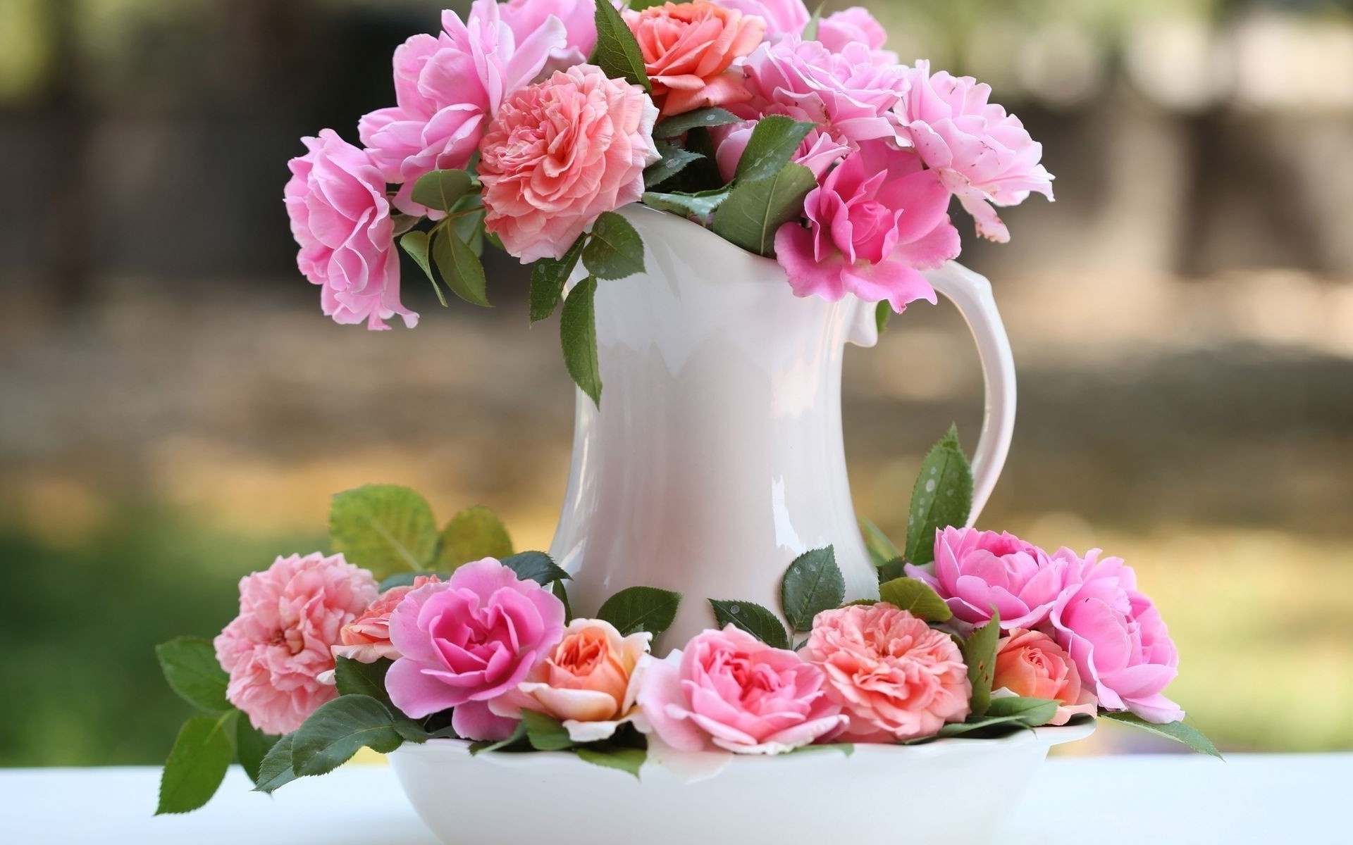 rose bouquet di fiori floreale di amore di nozze foglia petalo fiore romantico natura romantico giardino flora vaso decorazione regalo cluster vacanza