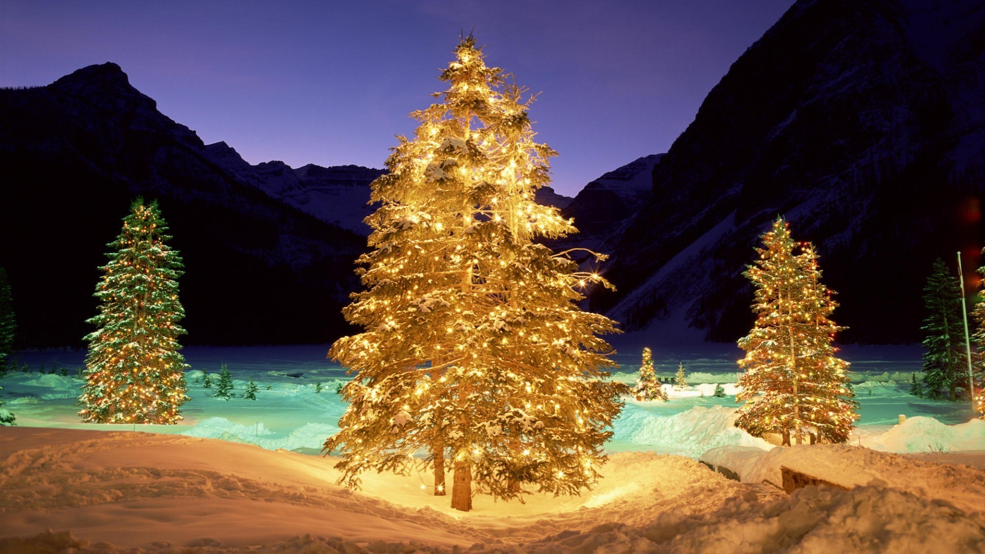 nuovo anno viaggi acqua all aperto albero natura cielo paesaggio scenico