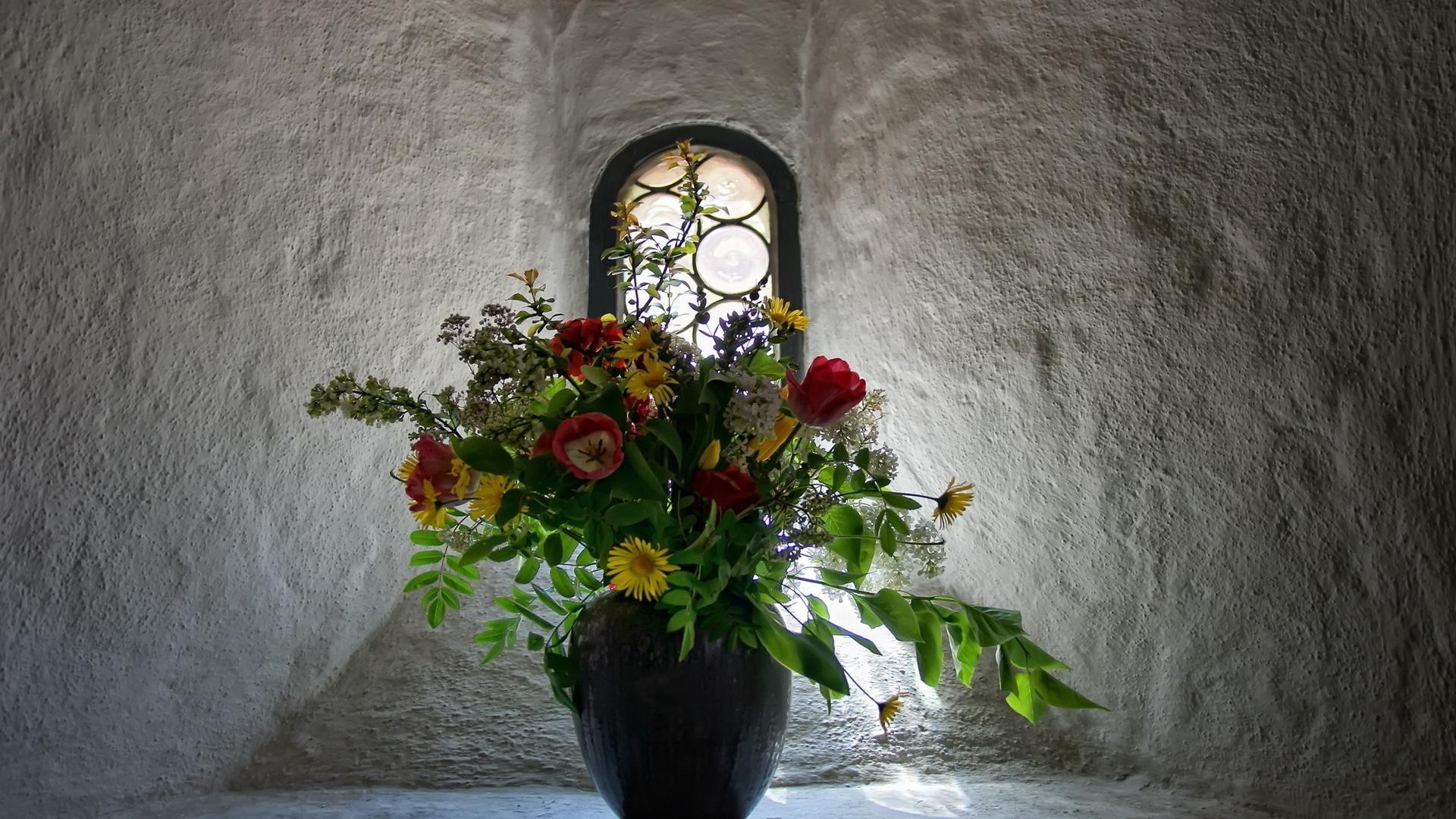 dans un vase ou un pot fleur mur feuille vieux décoration architecture rose vintage lumière nature