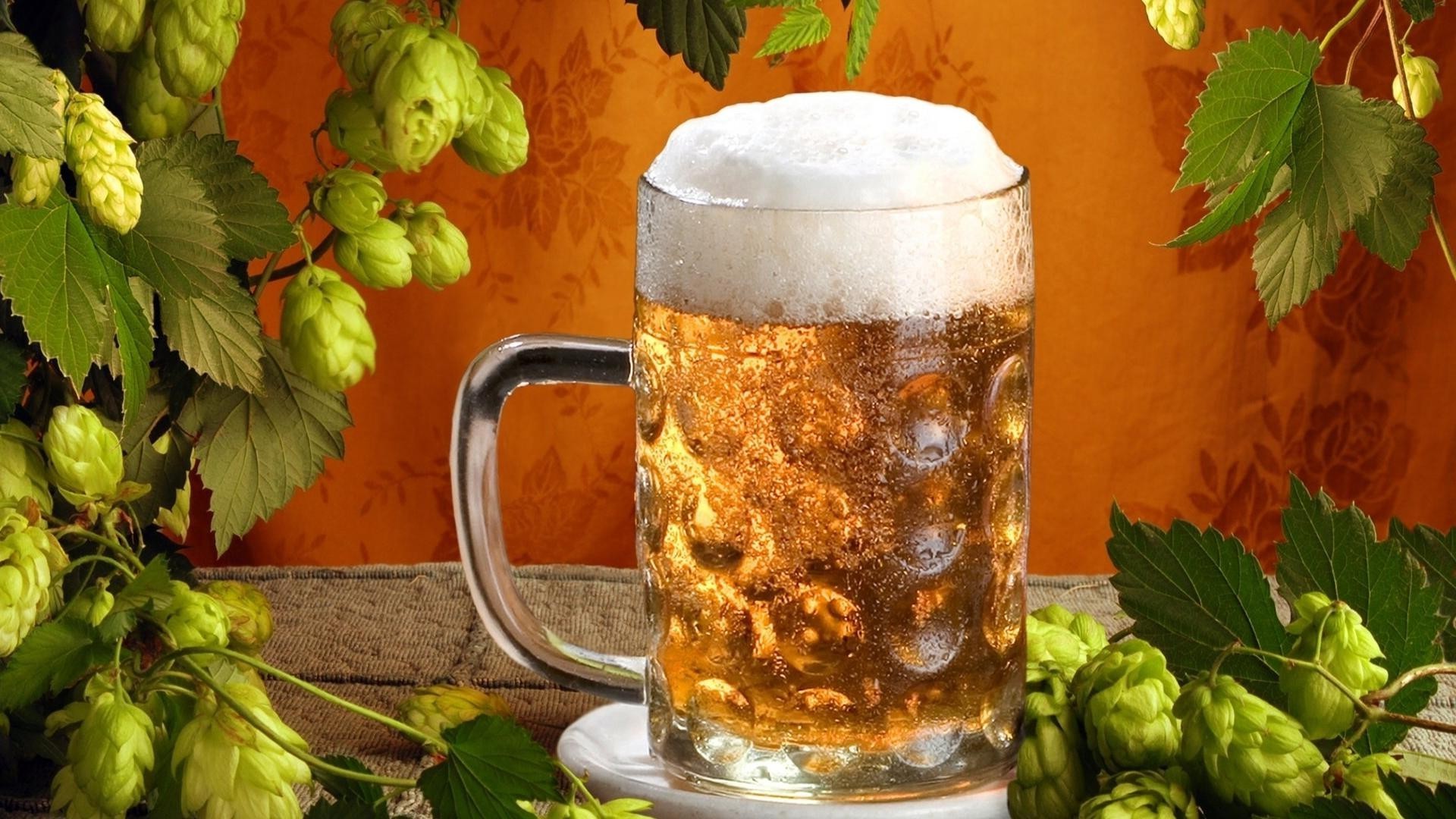 getränke bier glas brauerei trinken blatt alkohol mondschein becher pub gesund essen