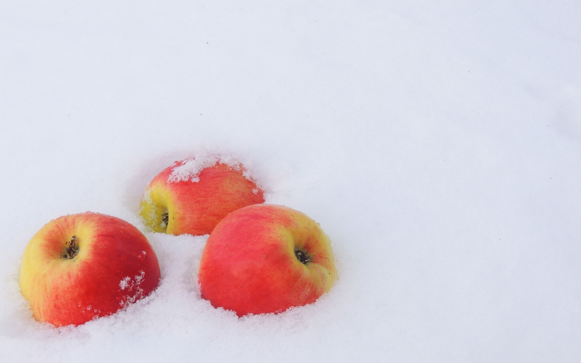 alimentos y bebidas fruta comida manzana naturaleza salud crecer jugoso delicioso nutrición naturaleza muerta frío brillante confitería