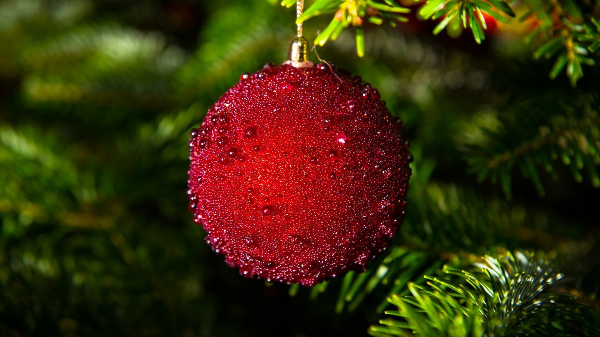 ano novo natal inverno árvore pinho bola evergreen ramo pendurado abeto brilha decoração feriado temporada natureza esfera cor