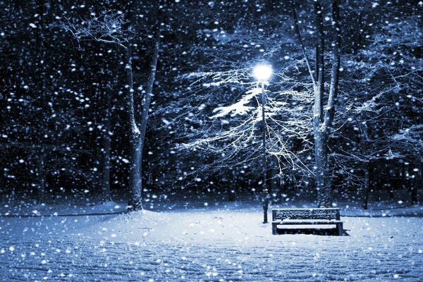 A bench under a lantern on a frosty night