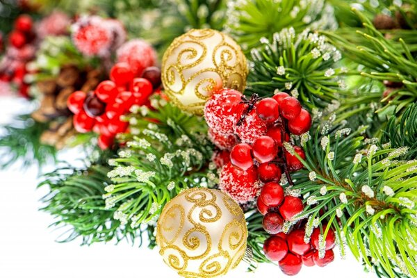 Pine branch with red berries and golden balls