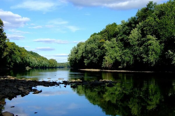 Ein ruhiger Fluss in einem laubigen Sommerwald