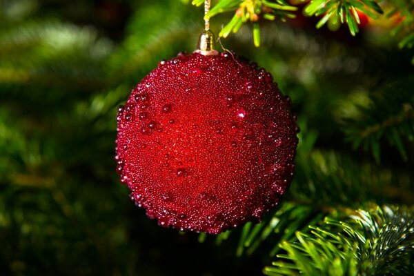 Rotes Weihnachtsspielzeug am Weihnachtsbaum