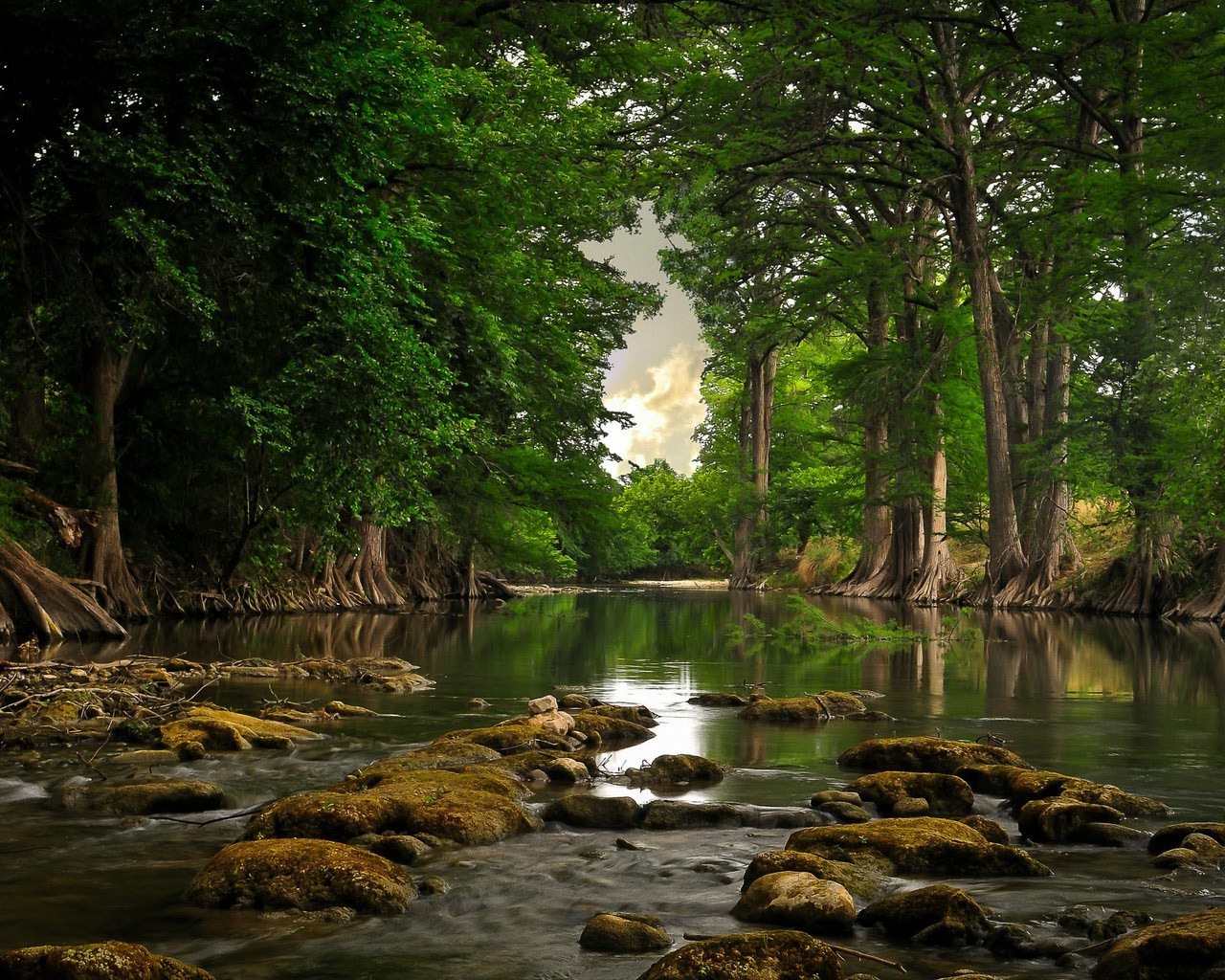 rivers ponds and streams water nature wood river tree leaf fall landscape travel outdoors park stream reflection lake summer