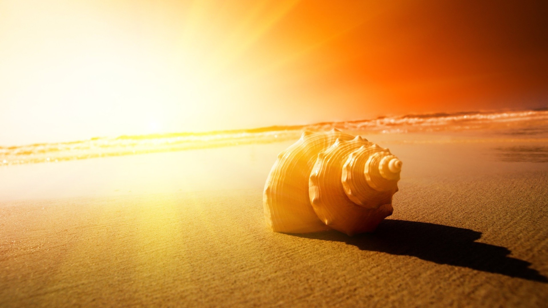 sea and ocean sunset still life beach gold food blur landscape sea ocean dawn seashore sun sky travel