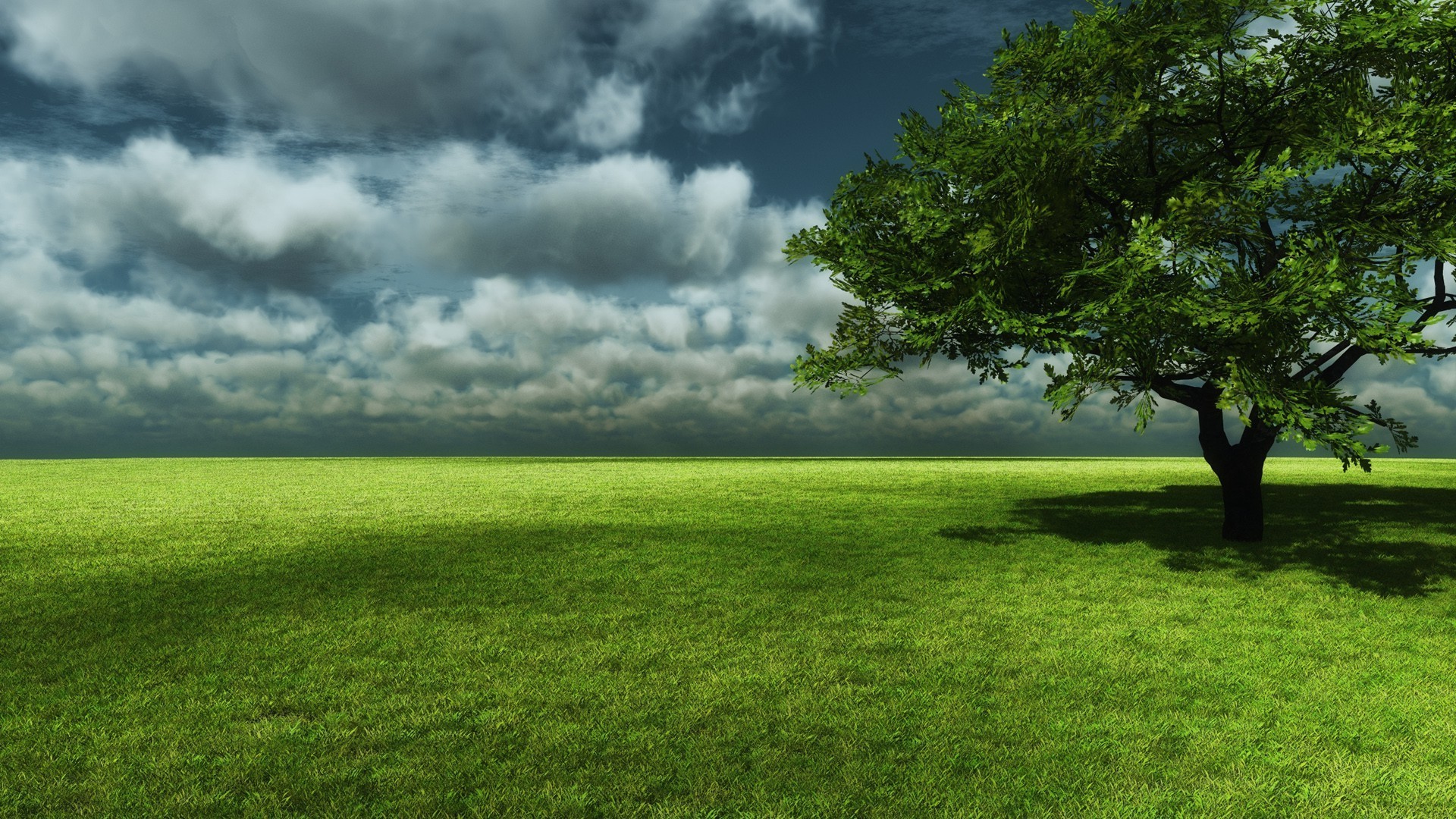 landscapes landscape grass nature field hayfield tree rural sun countryside summer sky fair weather horizon outdoors dawn bright lawn