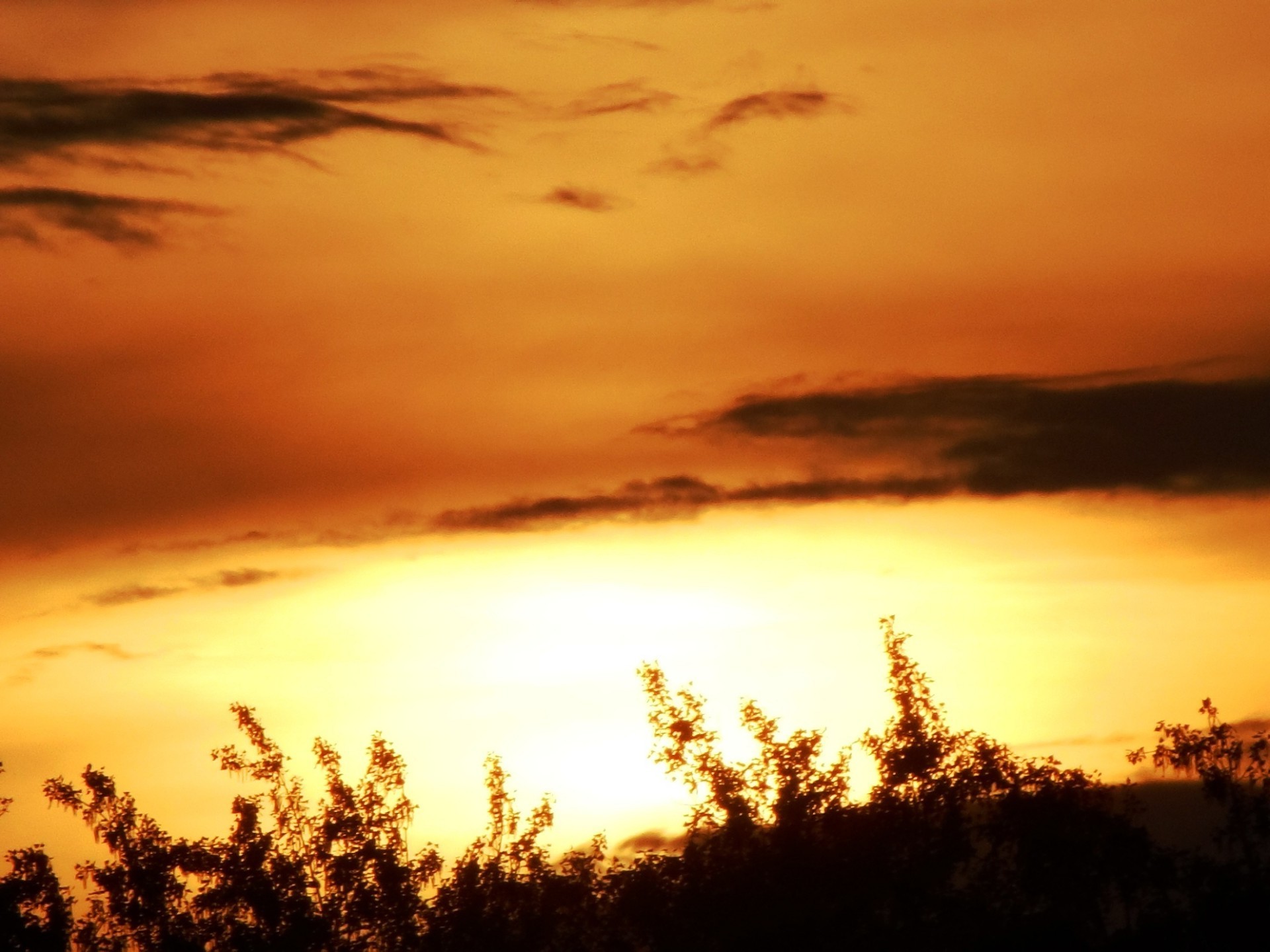 sonnenuntergang und dämmerung sonnenuntergang dämmerung sonne abend himmel dämmerung landschaft natur nebel hintergrundbeleuchtung im freien silhouette gutes wetter nebel licht baum