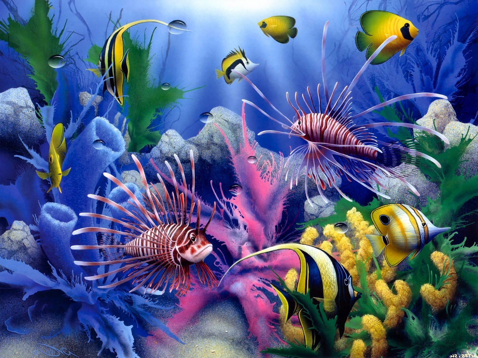 ocean life subacquea acquario pesci barriera corallina tropicale acquatico oceano immersioni profondo mare anemone natura serbatoio invertebrati colore mare nuoto acqua scuba