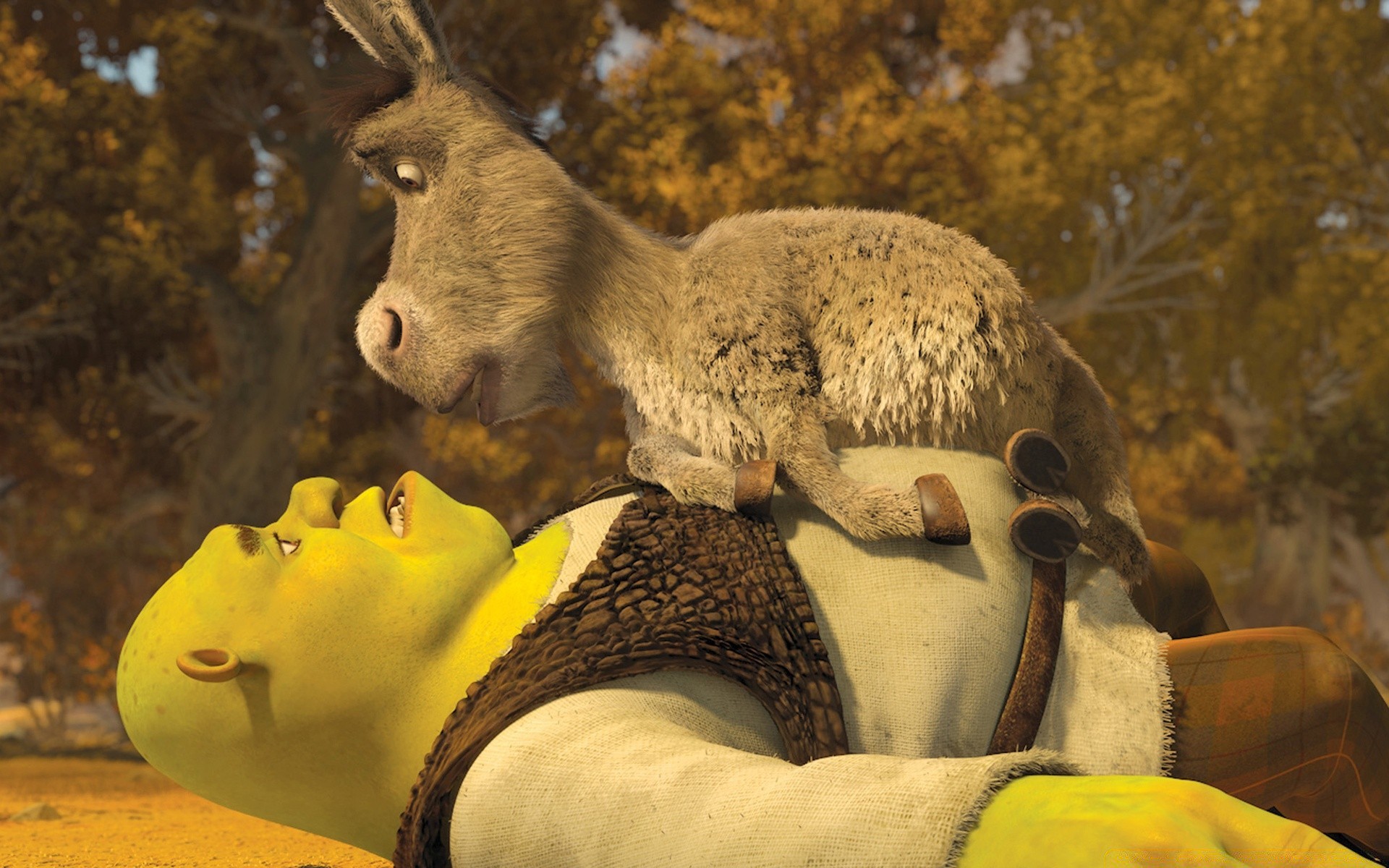 shrek mammal one wildlife nature outdoors