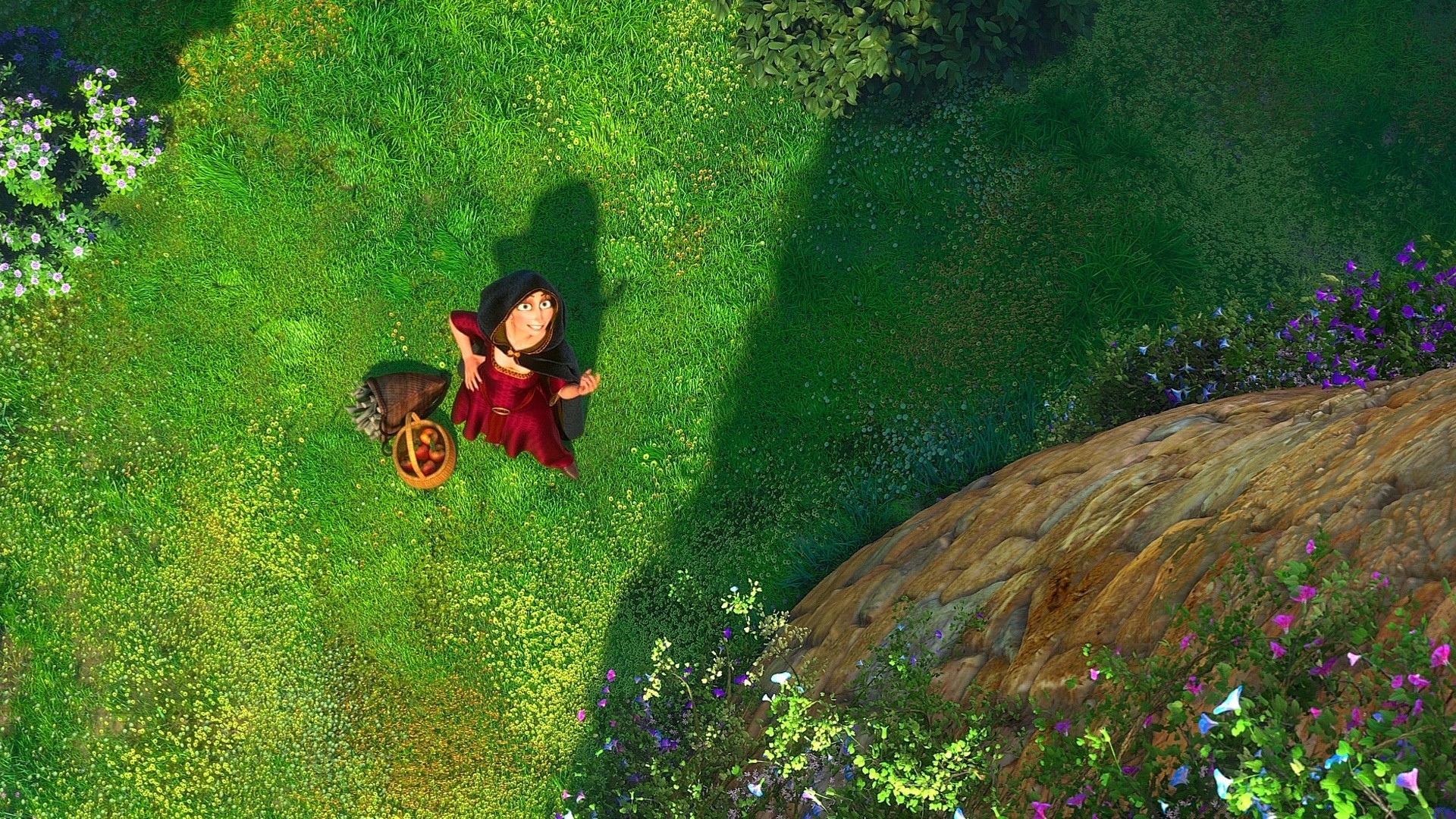 tangled su açık havada sualtı bir