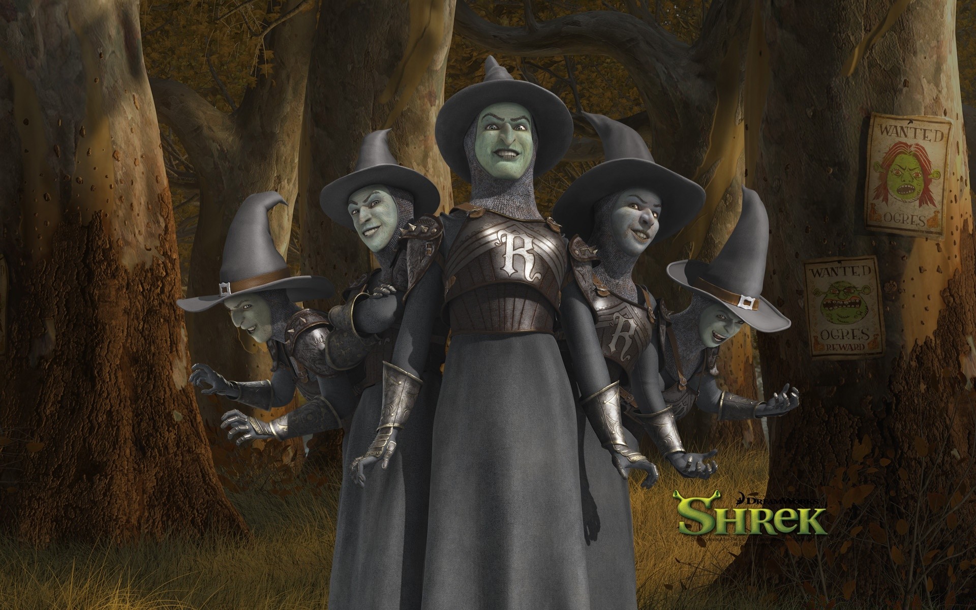 shrek mujer adulto hombre llevar arma interior solo espada casco guerra