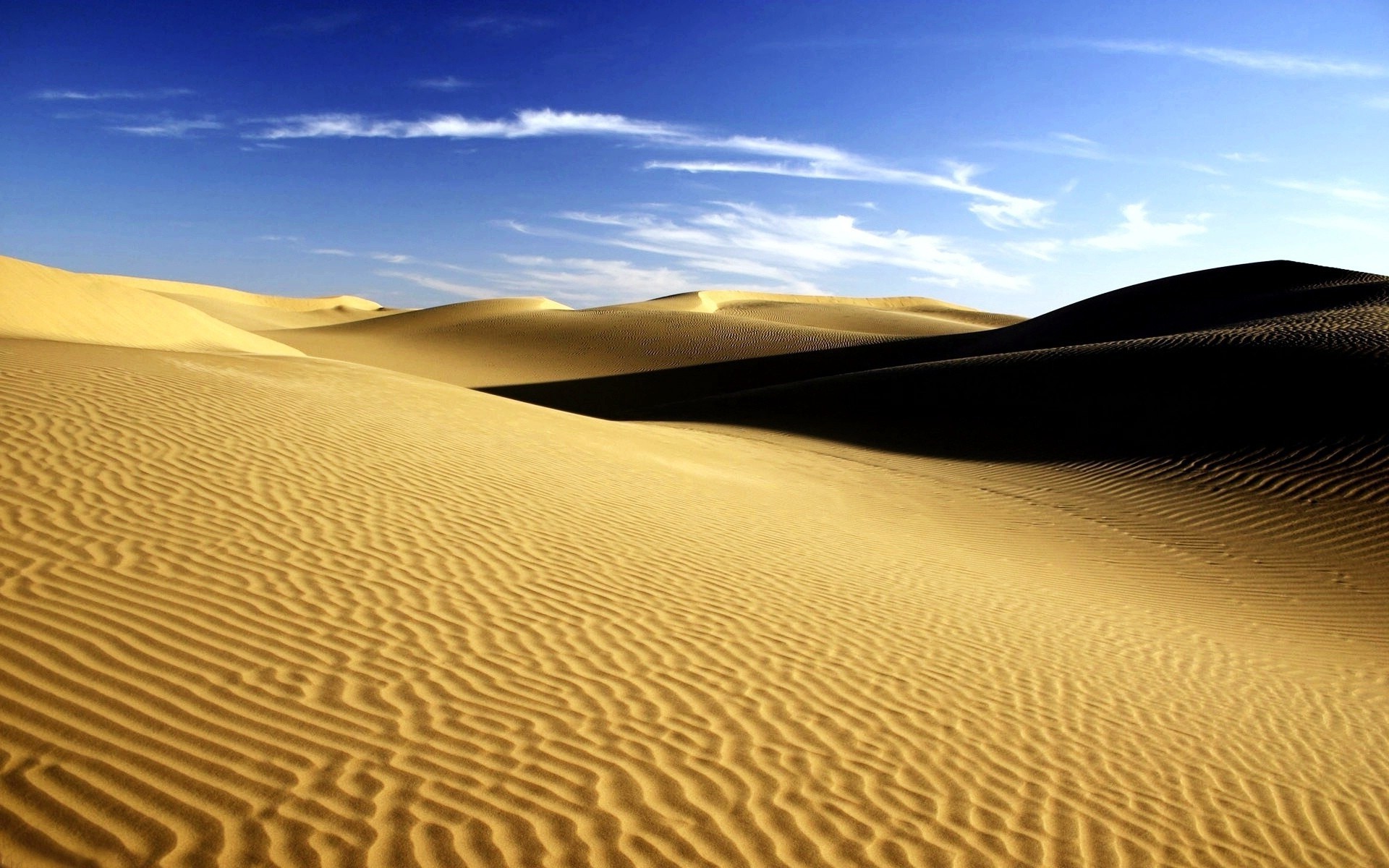 desierto arena duna estéril solo caliente arid seco viajes aventura sol playa sendero