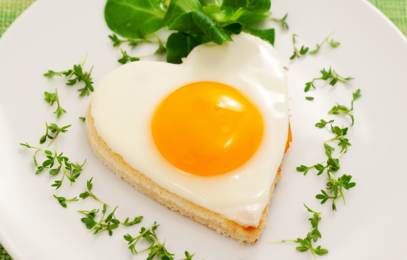 frühstück ei eigelb essen essen lecker mittagessen toast essen morgendämmerung kochen blatt brot milchprodukte teller butter abendessen