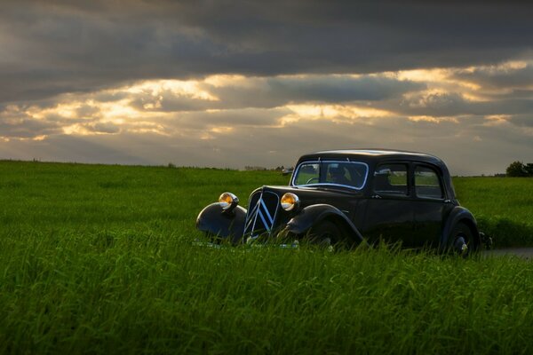 Oldtimer und grünes Feld