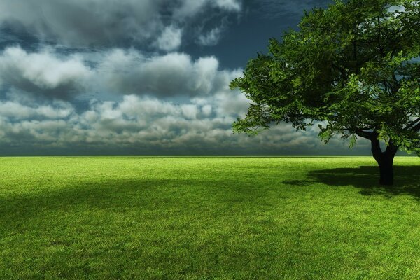 Arbre solitaire debout sur une Prairie verte