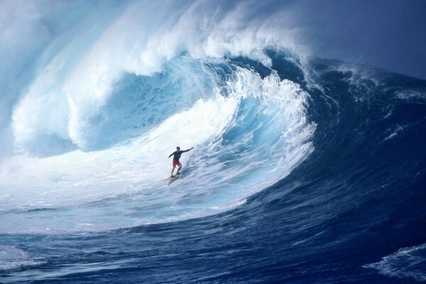 A lone surfer struggling with a wave