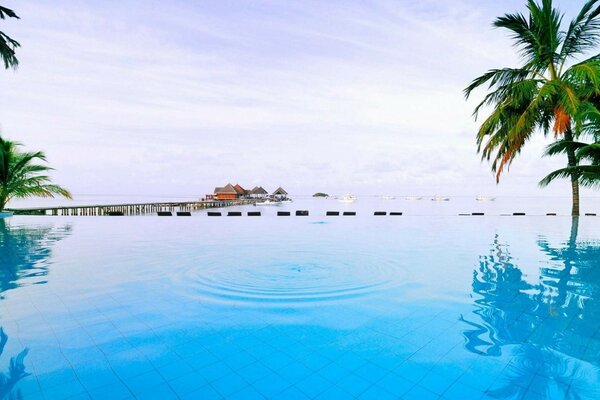 A resort in the middle of the sea and palm trees