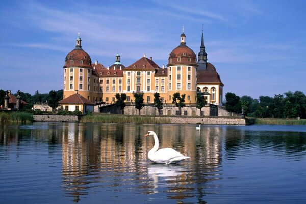 Weißer Schwanenteich vor dem Schloss